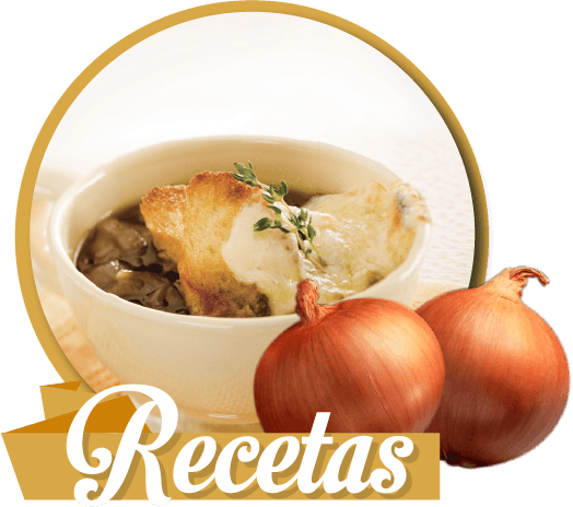 Recetas con cebollas amarillas